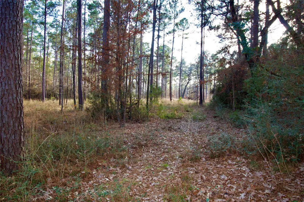 1497 County Road 1170 Kennard, TX 75847