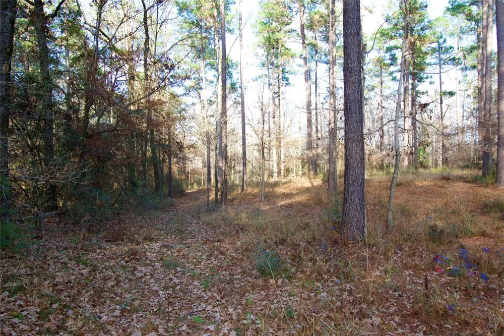 1497 County Road 1170 Kennard, TX 75847