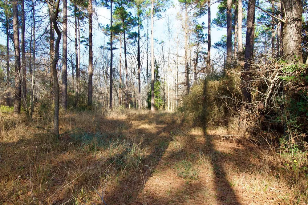 1497 County Road 1170 Kennard, TX 75847