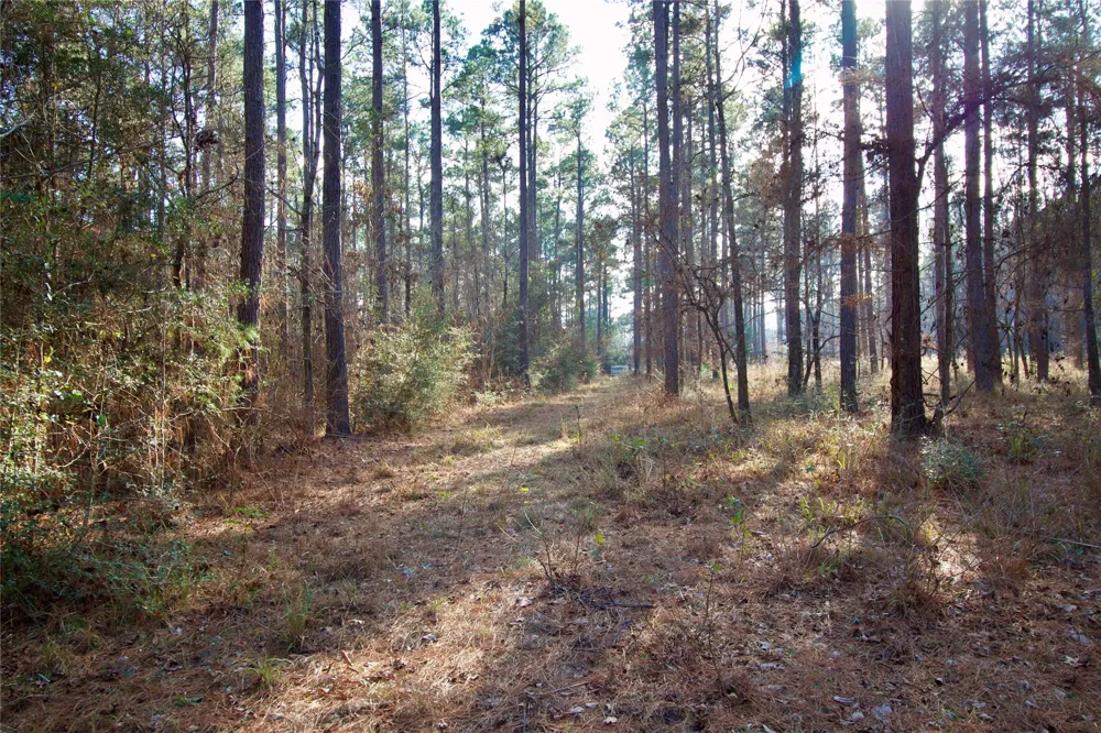 1497 County Road 1170 Kennard, TX 75847