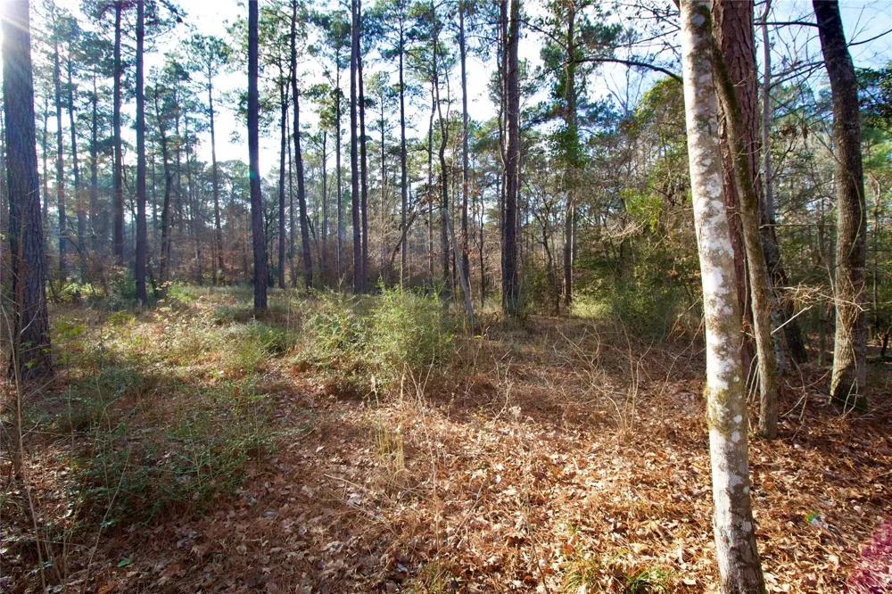1497 County Road 1170 Kennard, TX 75847