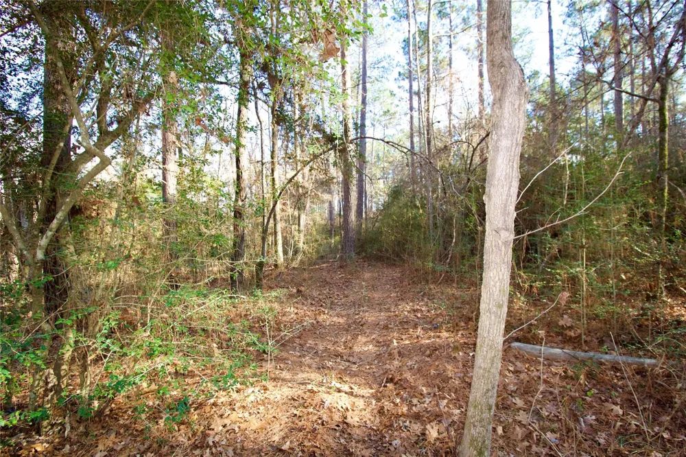 1497 County Road 1170 Kennard, TX 75847