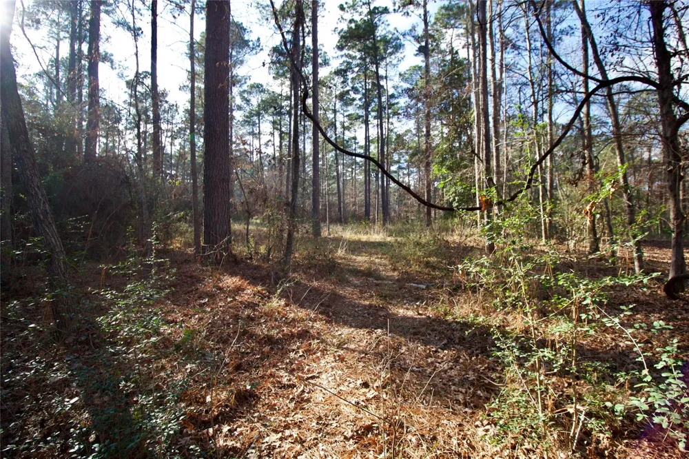 1497 County Road 1170 Kennard, TX 75847