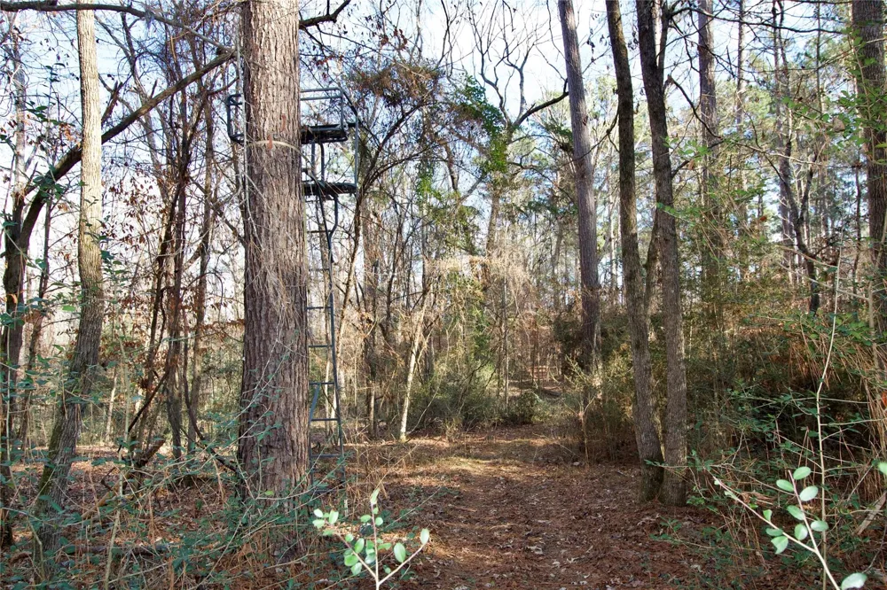 1497 County Road 1170 Kennard, TX 75847