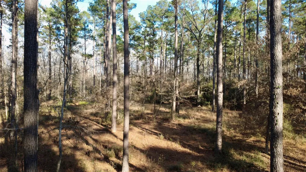 1497 County Road 1170 Kennard, TX 75847
