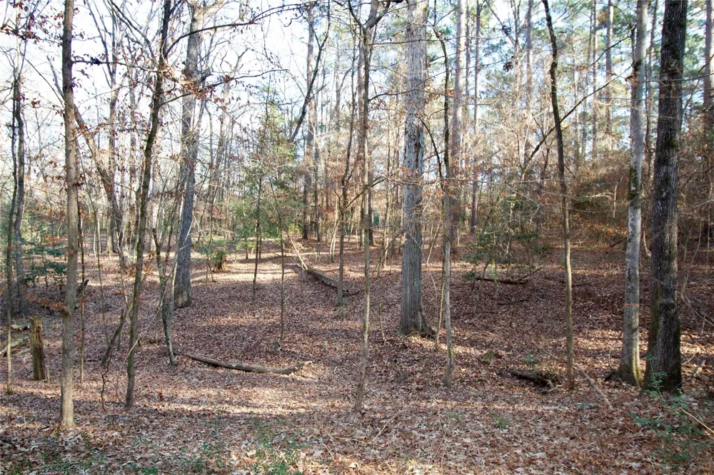1497 County Road 1170 Kennard, TX 75847