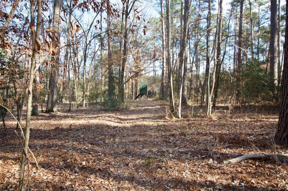 1497 County Road 1170 Kennard, TX 75847