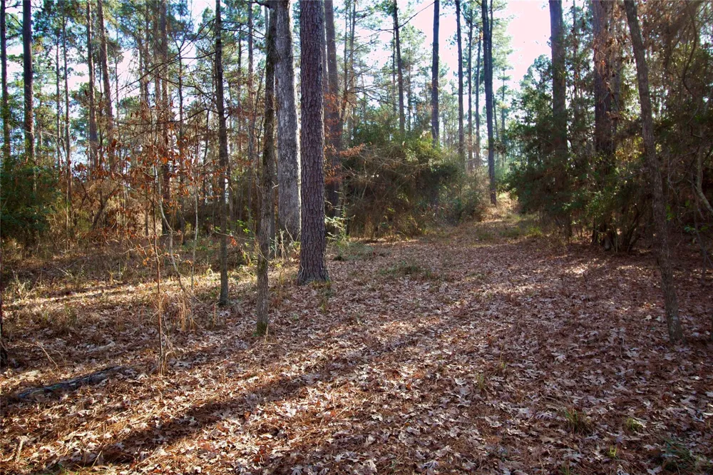 1497 County Road 1170 Kennard, TX 75847