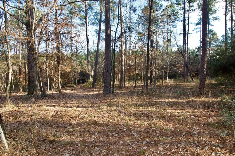 1497 County Road 1170 Kennard, TX 75847