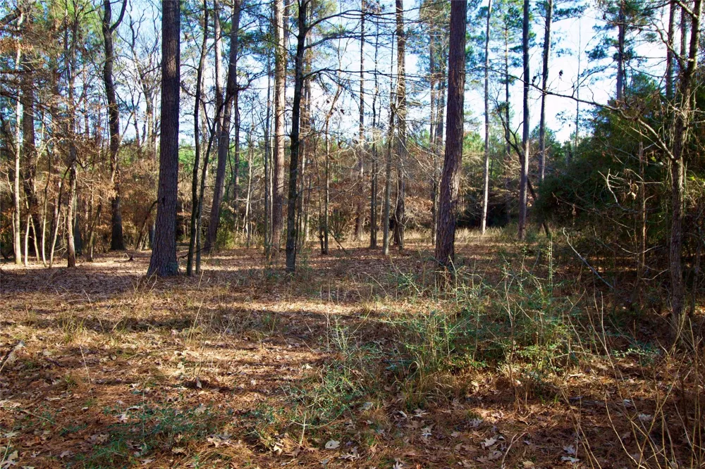 1497 County Road 1170 Kennard, TX 75847