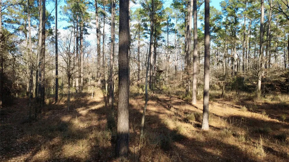 1497 County Road 1170 Kennard, TX 75847