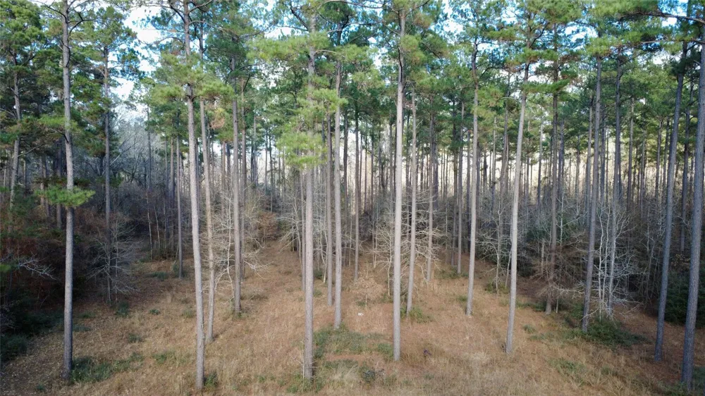 1497 County Road 1170 Kennard, TX 75847