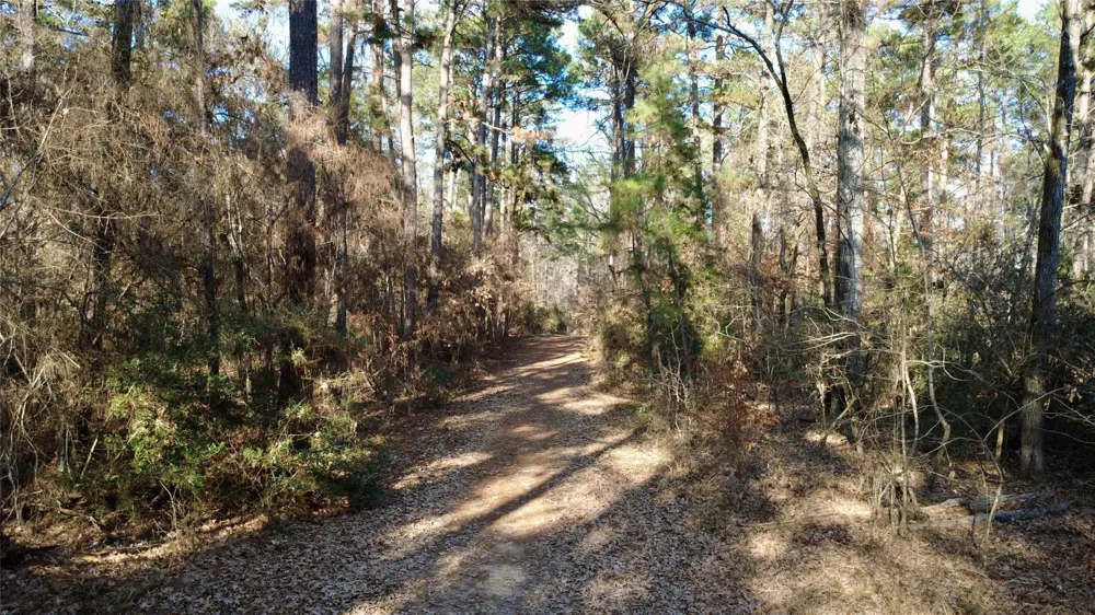 1497 County Road 1170 Kennard, TX 75847