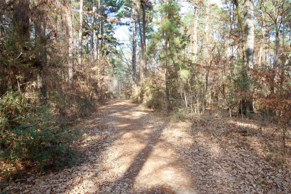 1497 County Road 1170 Kennard, TX 75847
