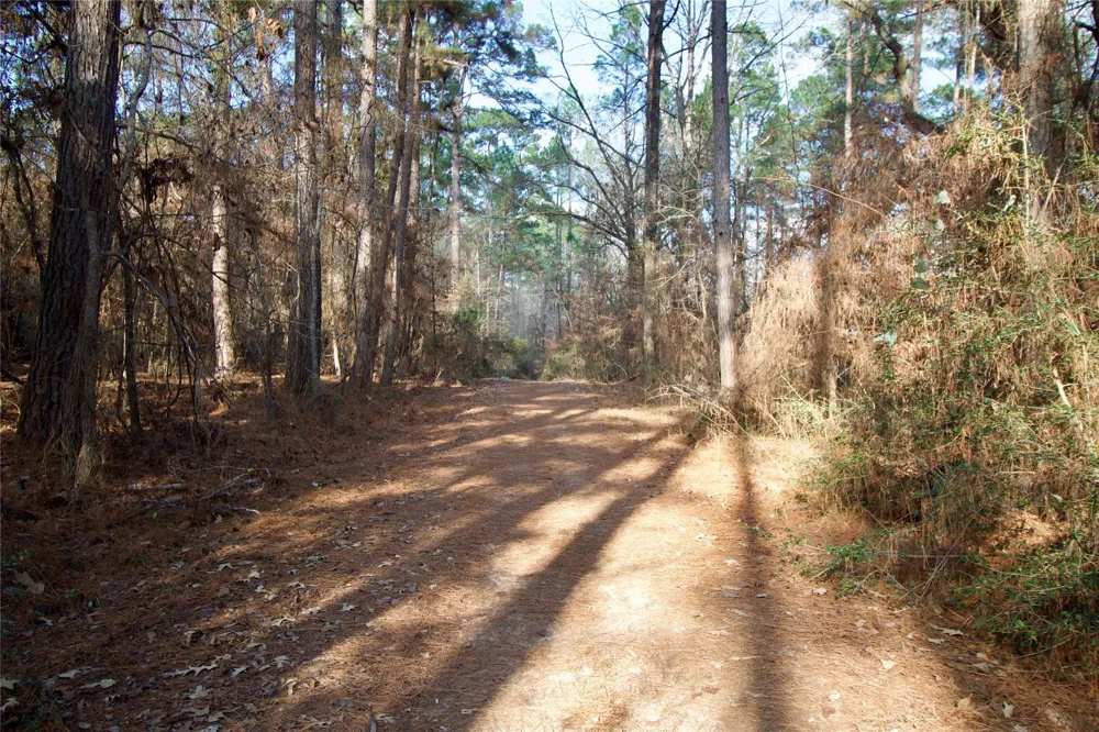 1497 County Road 1170 Kennard, TX 75847