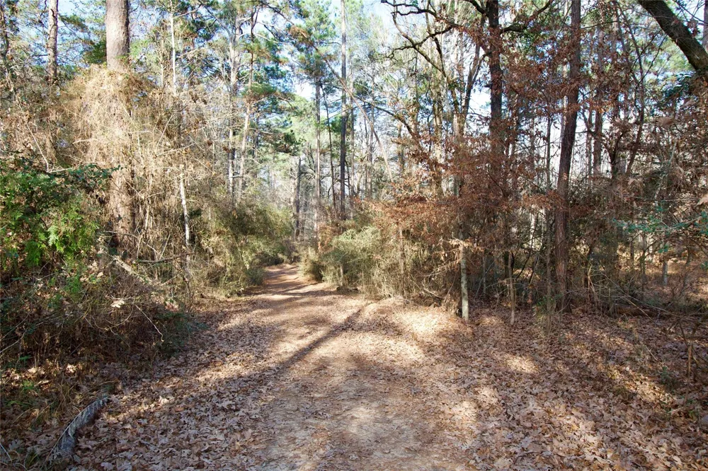 1497 County Road 1170 Kennard, TX 75847