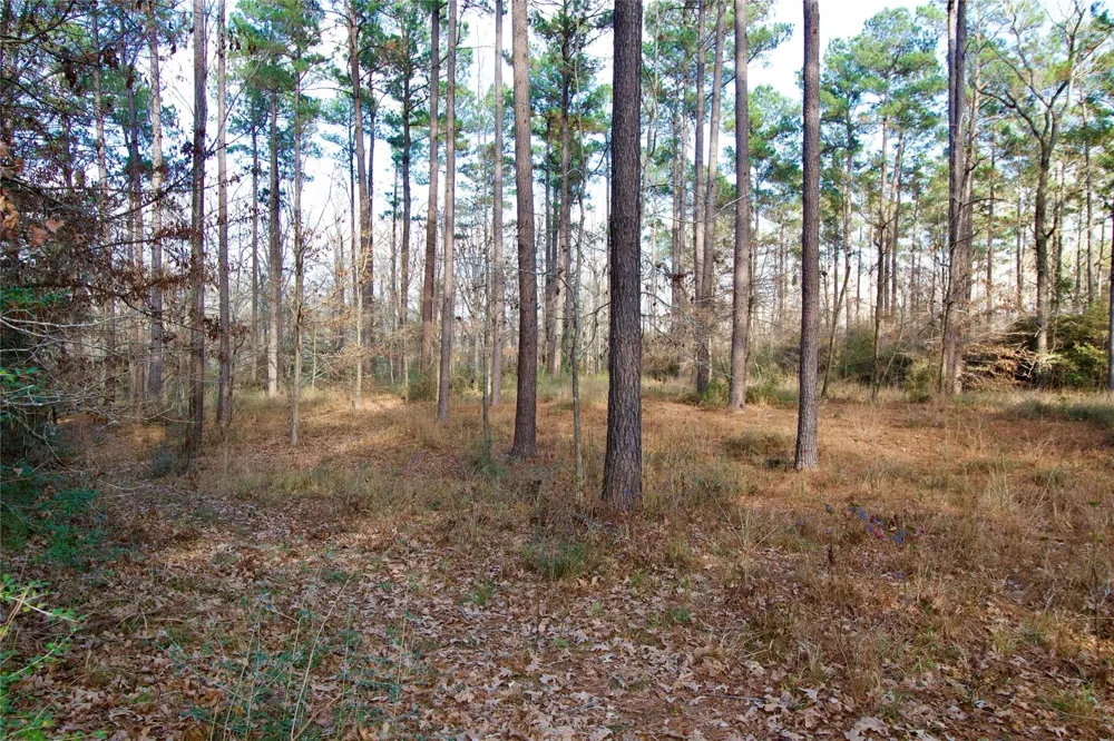 1497 County Road 1170 Kennard, TX 75847