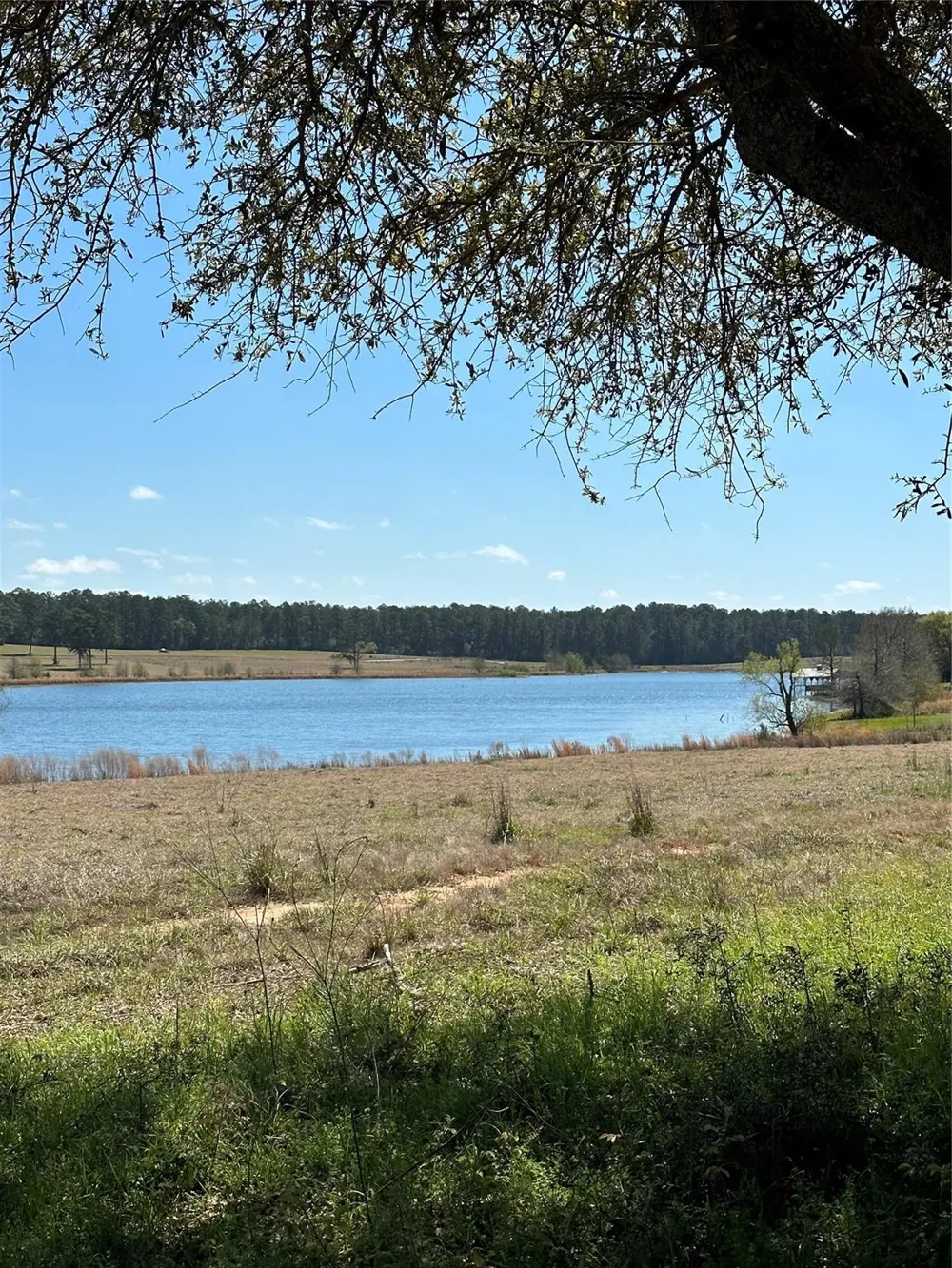 46 Lakeland Drive Hillister, TX 77624
