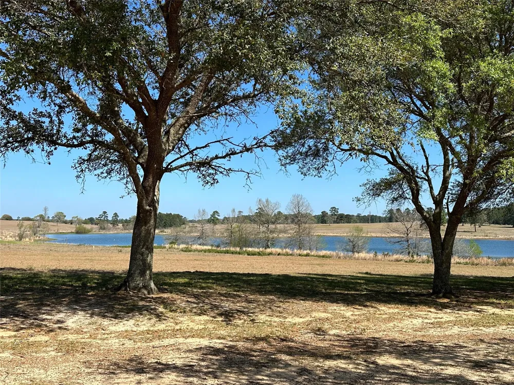 46 Lakeland Drive Hillister, TX 77624