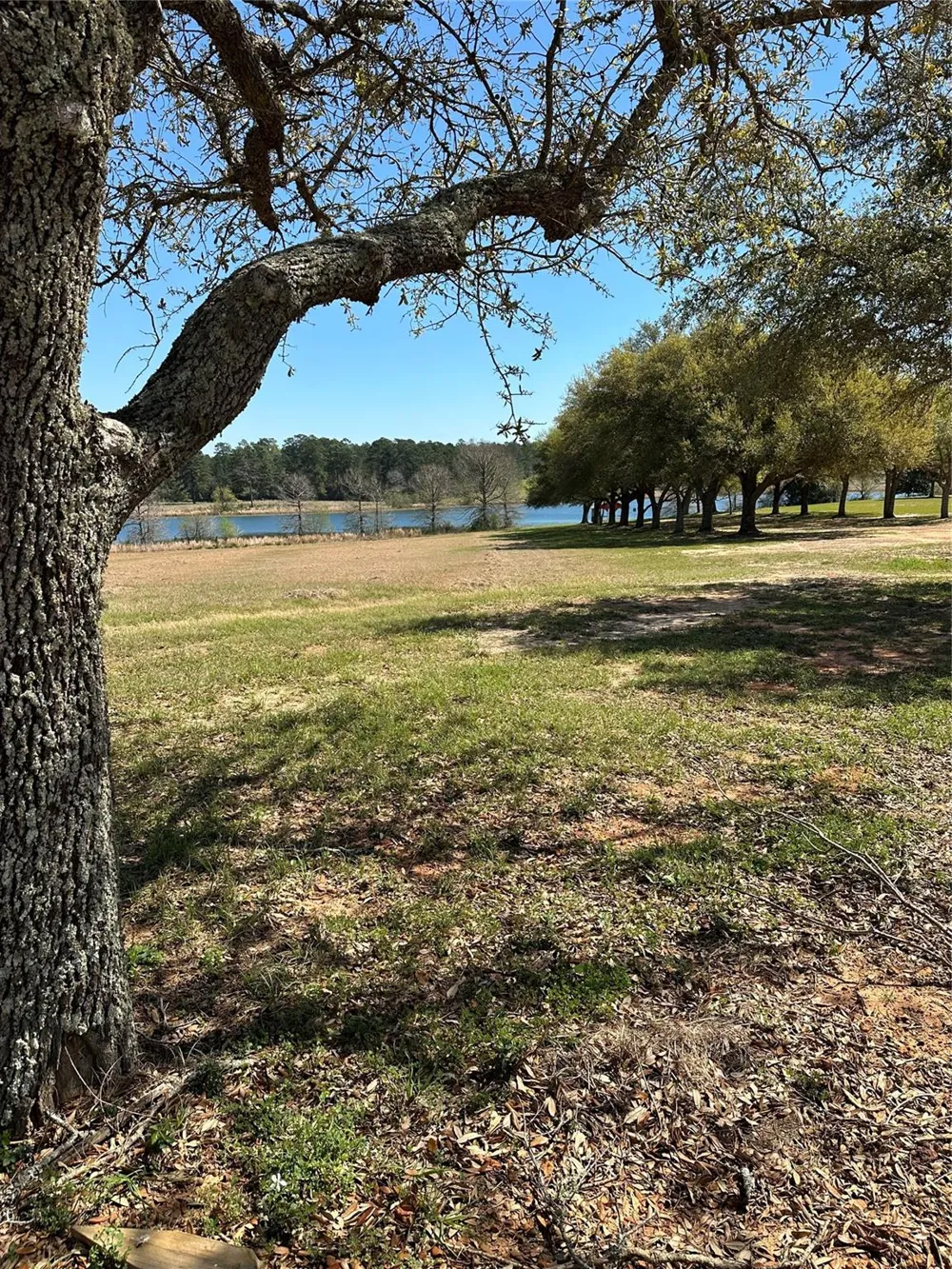 46 Lakeland Drive Hillister, TX 77624