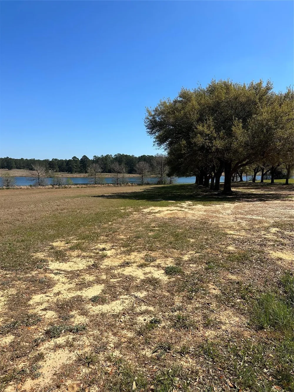 46 Lakeland Drive Hillister, TX 77624