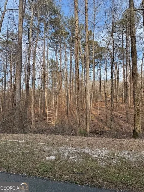 0 Cascade Palmetto HWY