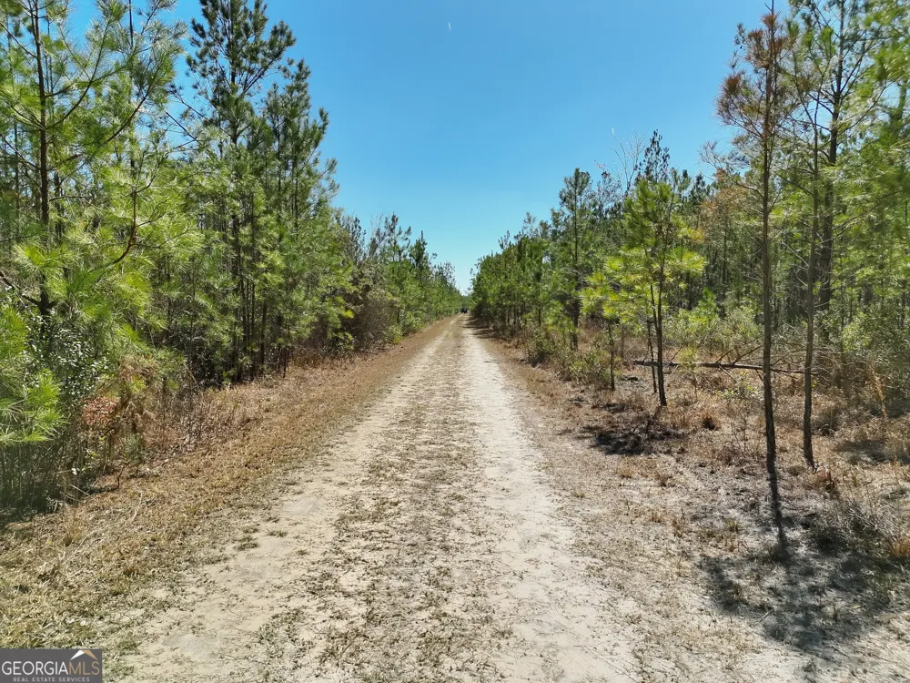 21 S Gun Metal RD Manor, GA 31550