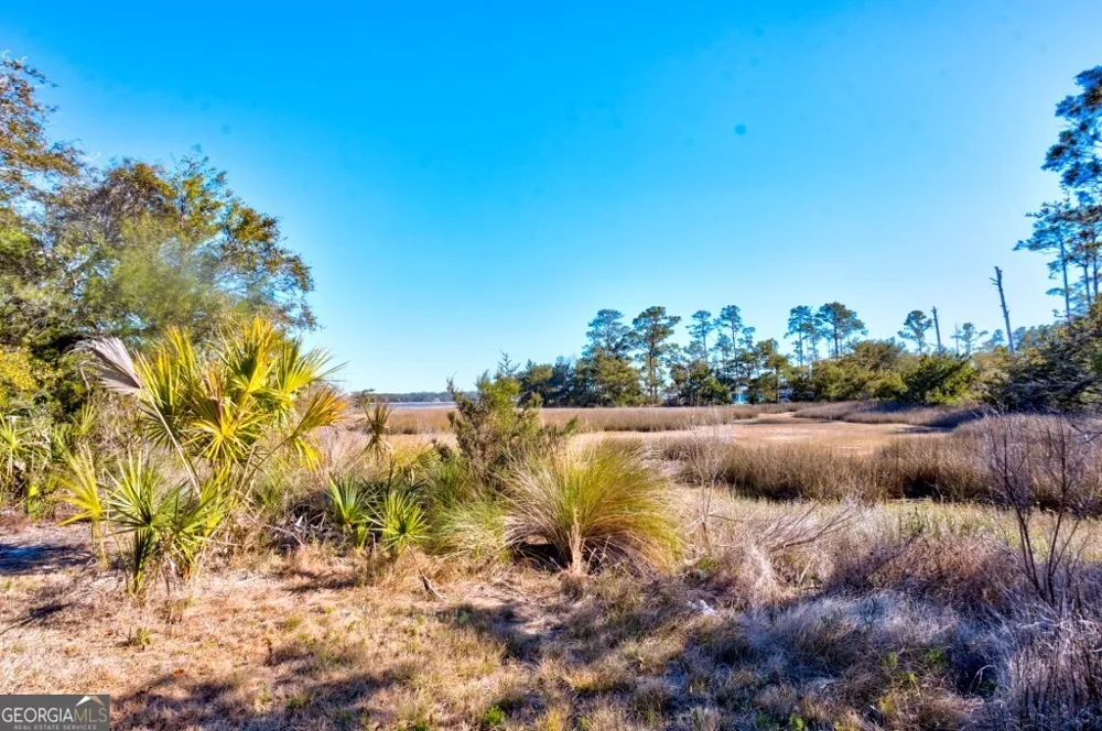 0 Cattle Hammock RD Midway, GA 31320