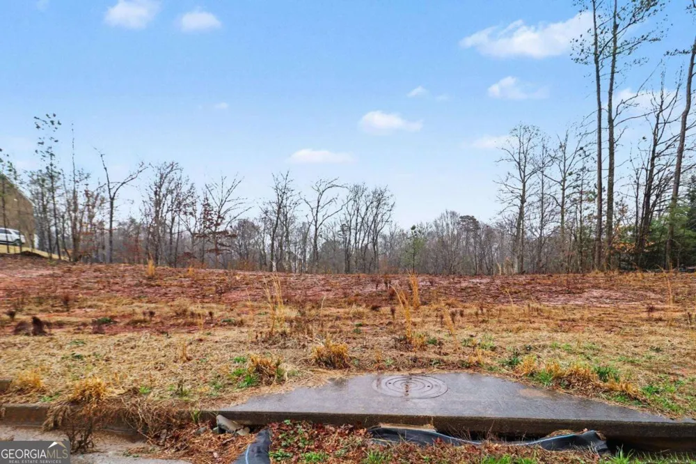 7464 Waterview CV Douglasville, GA 30135