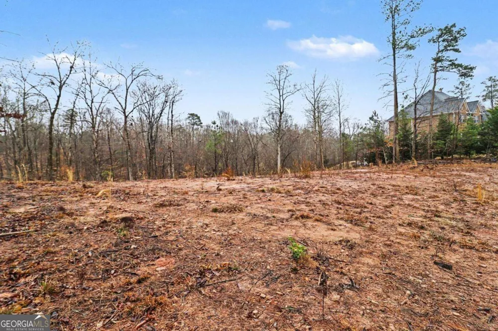 7464 Waterview CV Douglasville, GA 30135