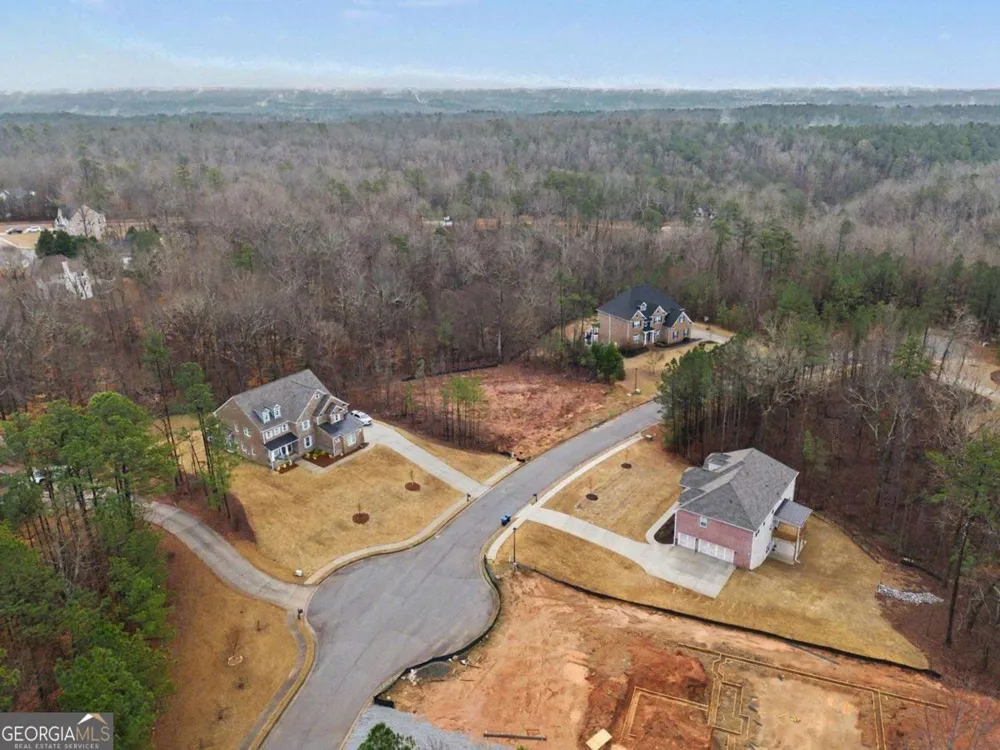 7464 Waterview CV Douglasville, GA 30135