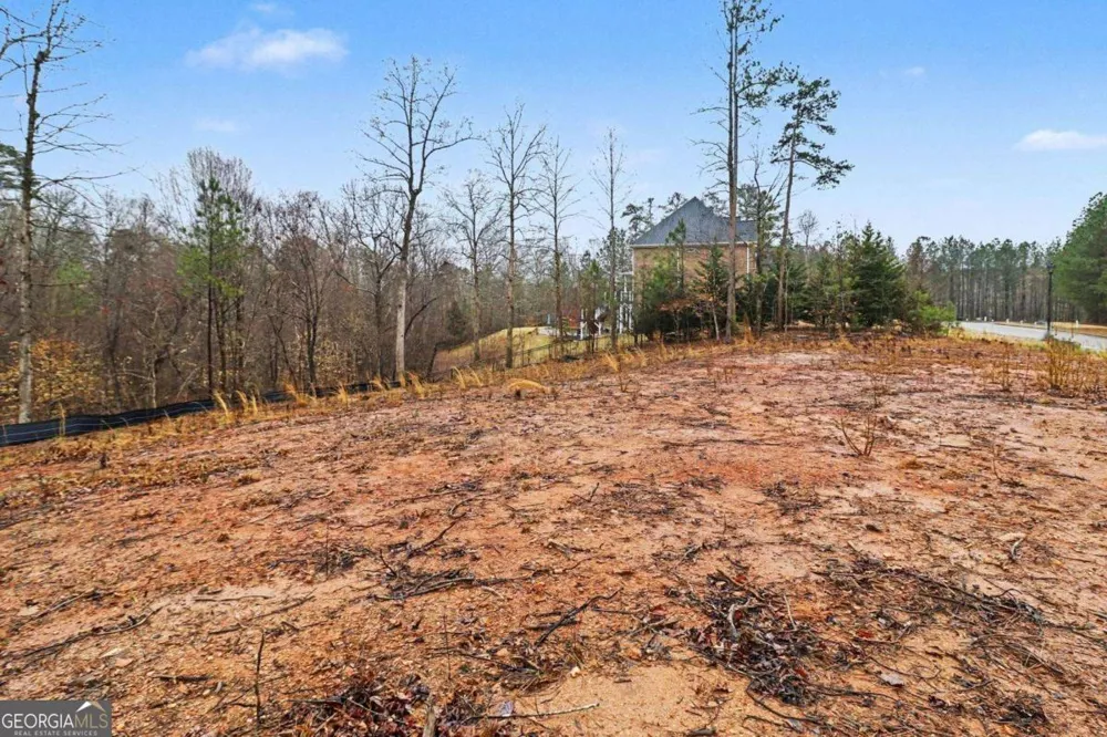 7464 Waterview CV Douglasville, GA 30135