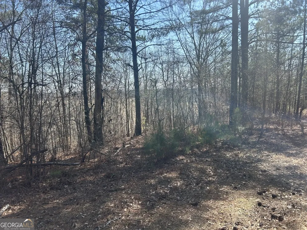 111 RiverSong (Tract 26) Carrollton, GA 30117