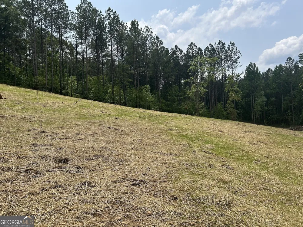 111 RiverSong (Tract 26) Carrollton, GA 30117