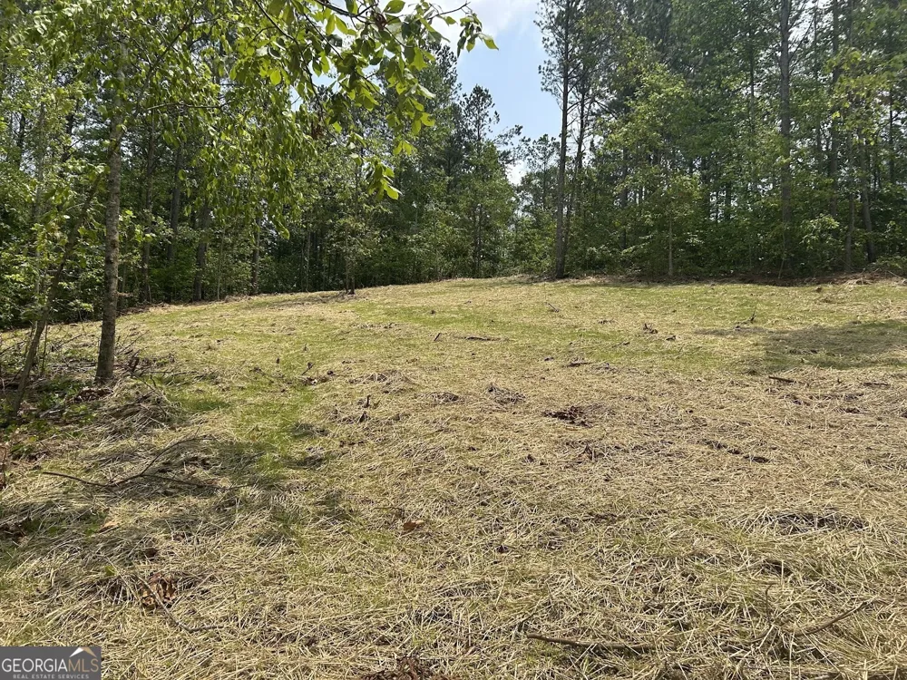 111 RiverSong (Tract 26) Carrollton, GA 30117
