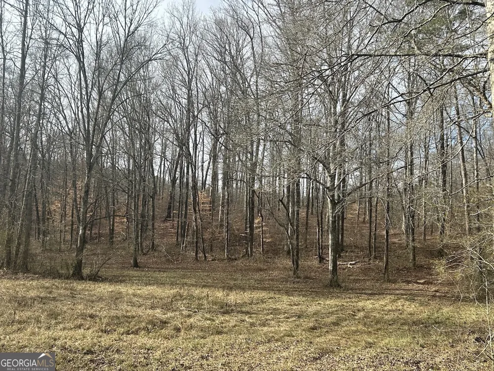 111 RiverSong (Tract 26) Carrollton, GA 30117