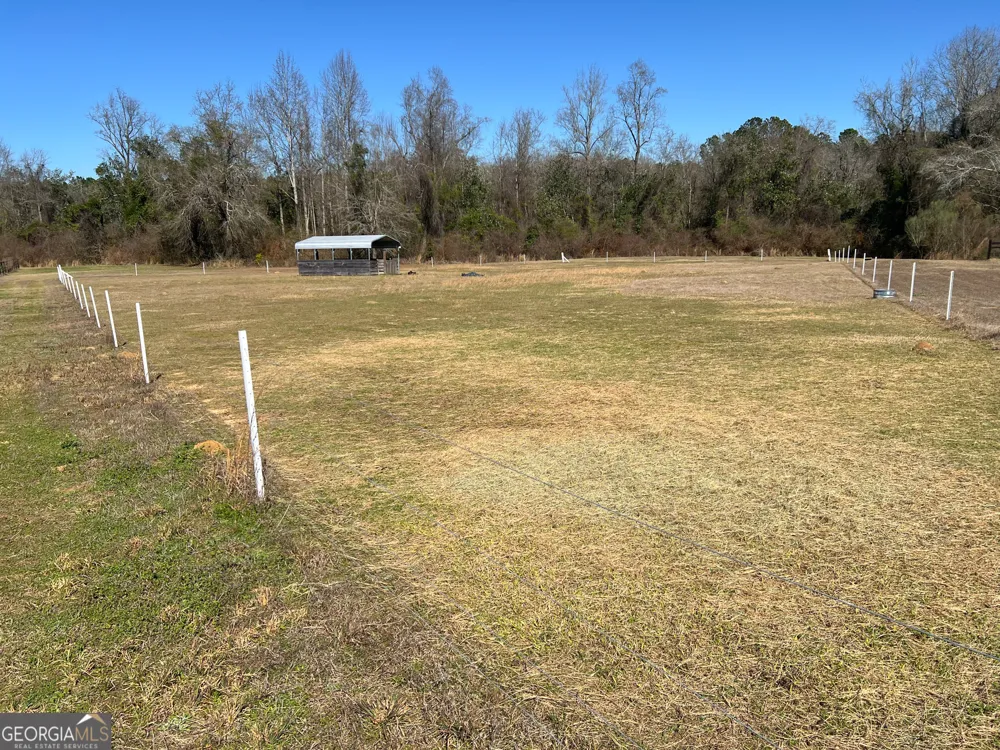 1685 Union Hill RD Pelham, GA 31779