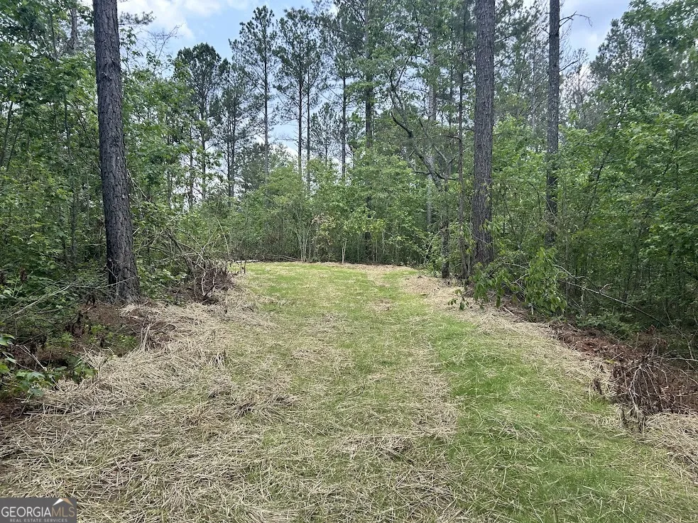 128 River Cove (Tract 17) Carrollton, GA 30117