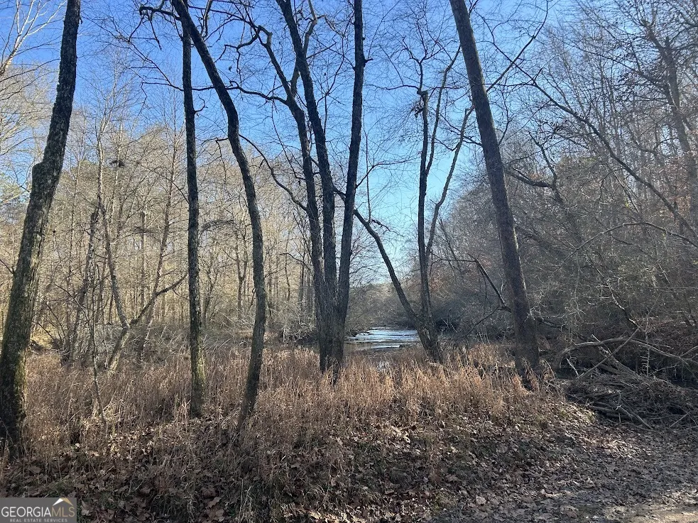 128 River Cove (Tract 17) Carrollton, GA 30117