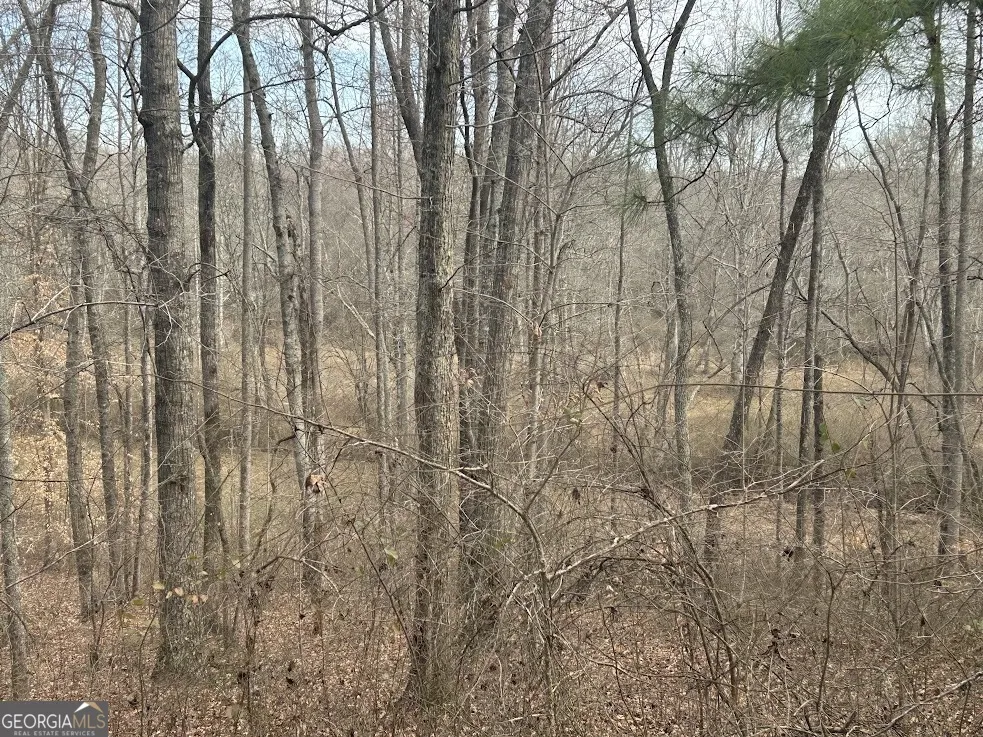 128 River Cove (Tract 17) Carrollton, GA 30117