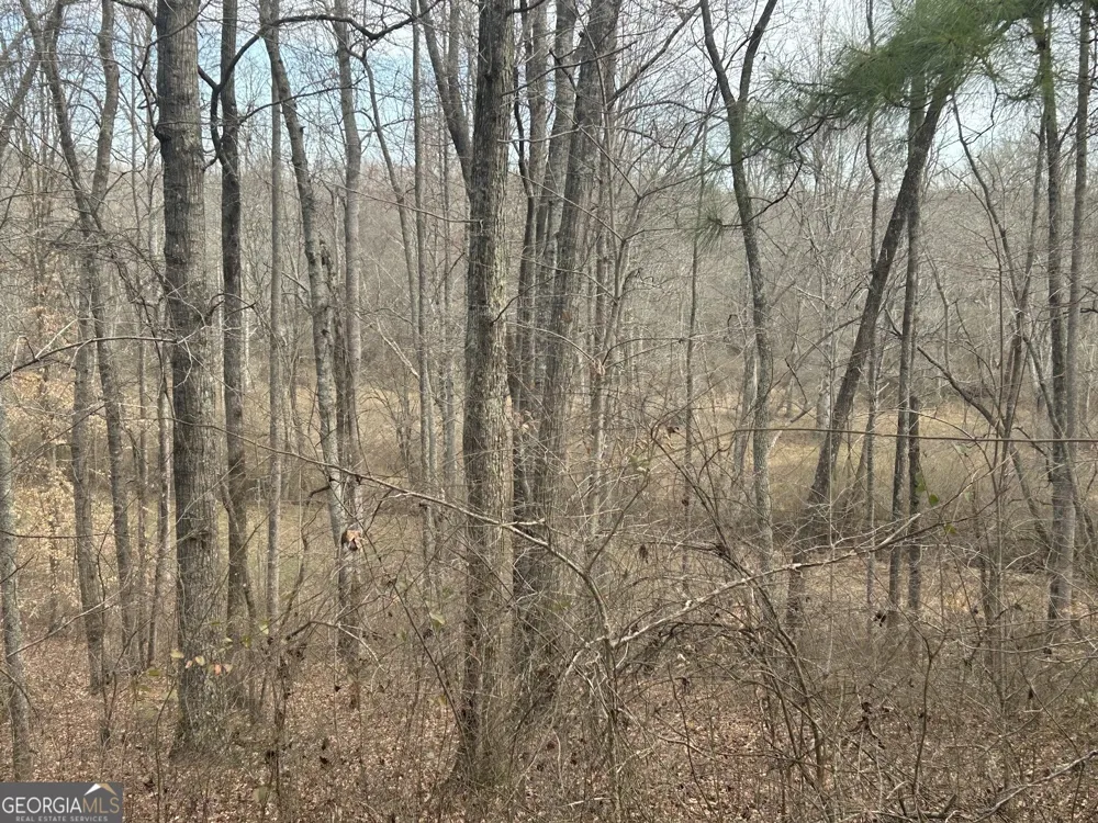 114 River Cove (Tract 16) Carrollton, GA 30117