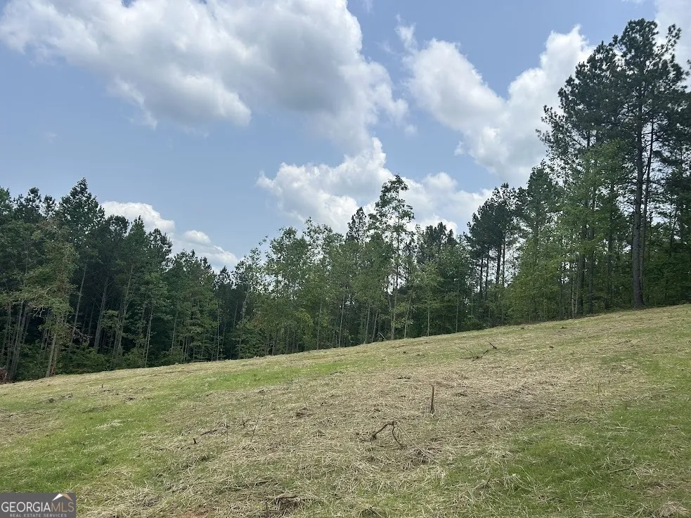 114 River Cove (Tract 16) Carrollton, GA 30117