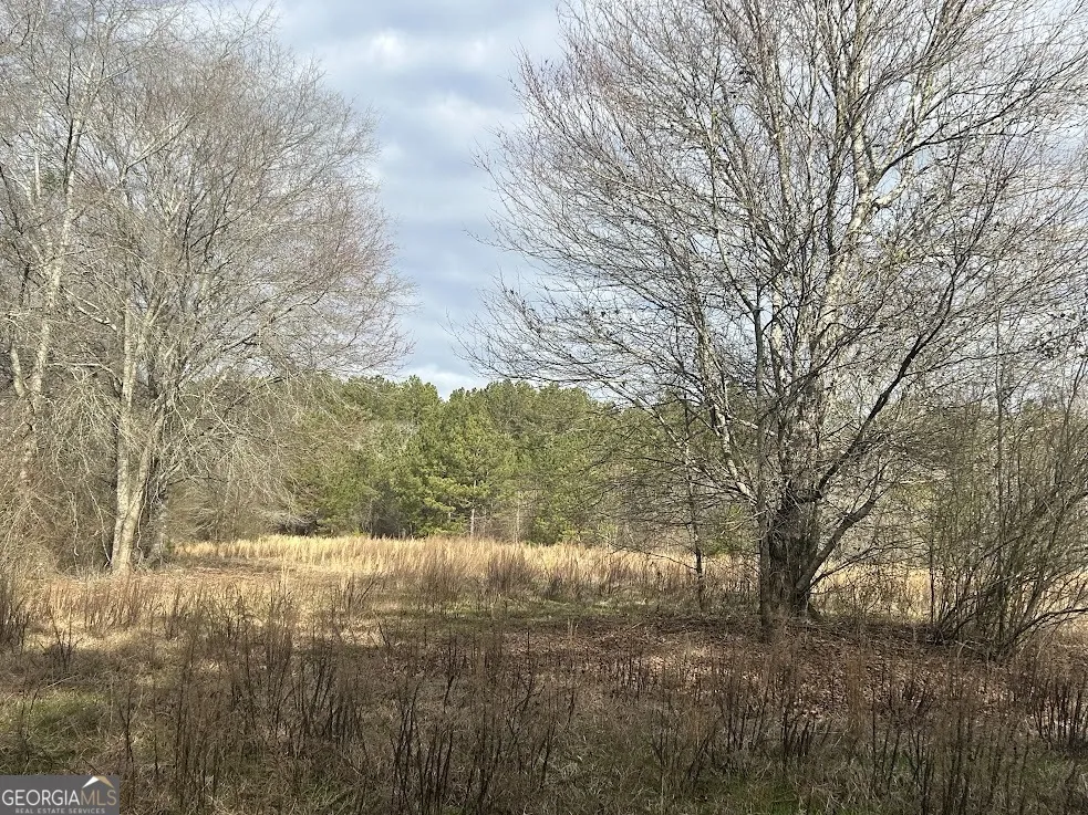 114 River Cove (Tract 16) Carrollton, GA 30117