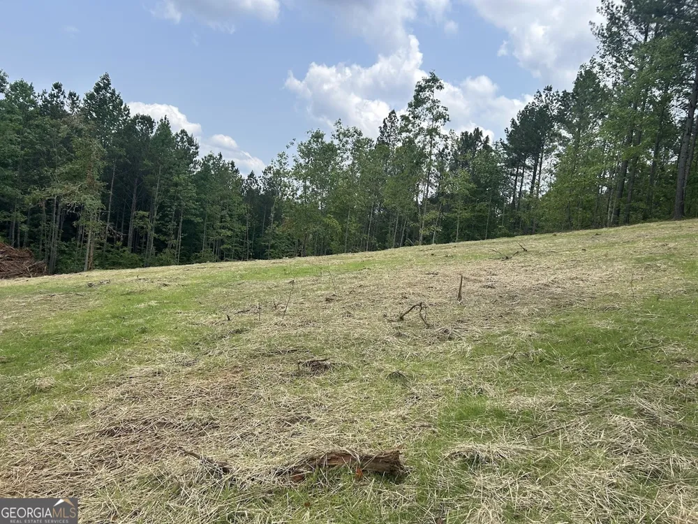 237 RiverSong (Tract 10) Carrollton, GA 30117
