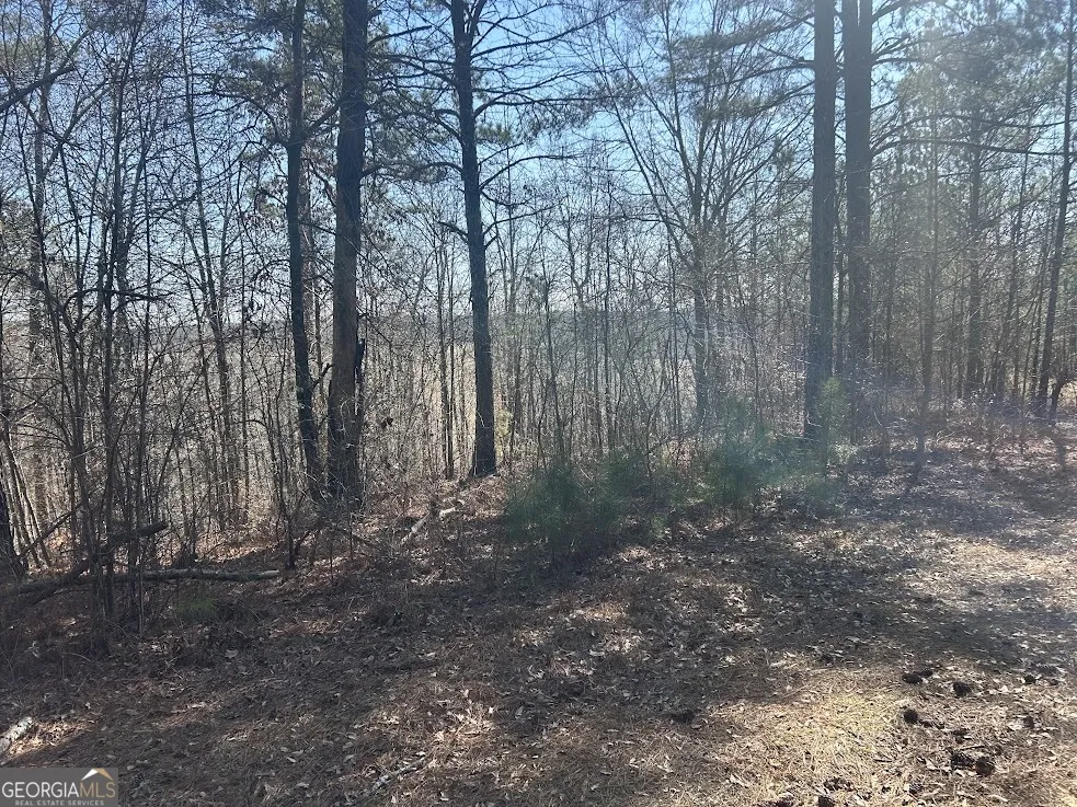 237 RiverSong (Tract 10) Carrollton, GA 30117