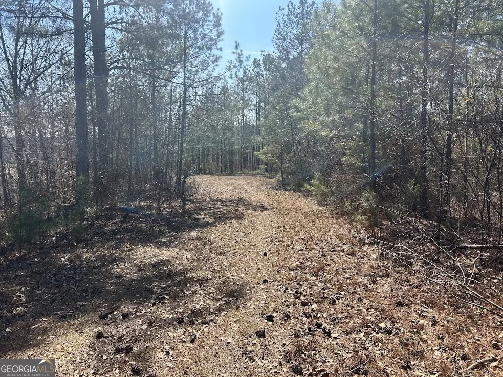 237 RiverSong (Tract 10) Carrollton, GA 30117