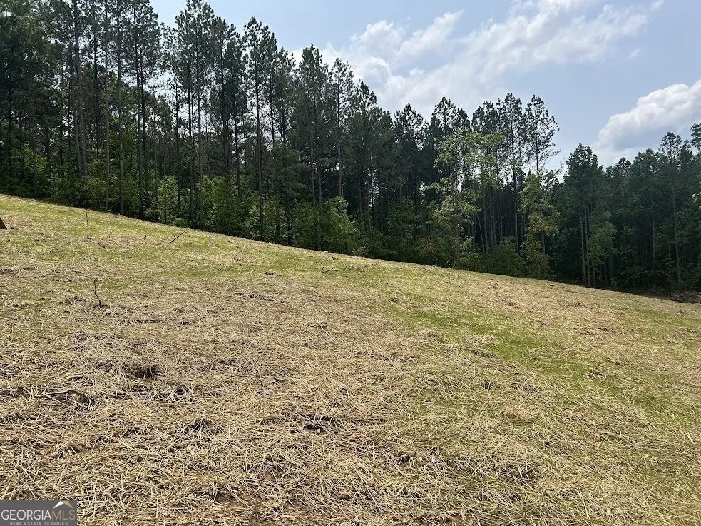 237 RiverSong (Tract 10) Carrollton, GA 30117
