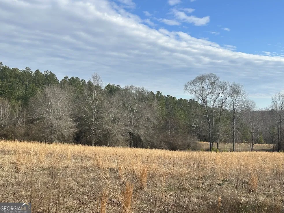 237 RiverSong (Tract 10) Carrollton, GA 30117