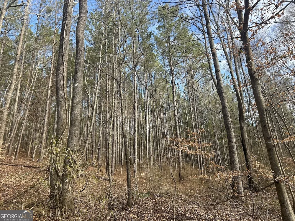 236 RiverSong (Tract 8) Carrollton, GA 30117