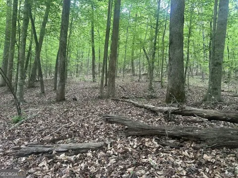 236 RiverSong (Tract 8)
